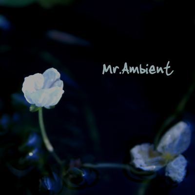 Mr.Ambient